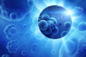 Cancer Services - Cancer Types - Cancer of Unknown Primary - Introduction Cancer Services - Cancer Types - Cancer of Unknown Primary - Introduction